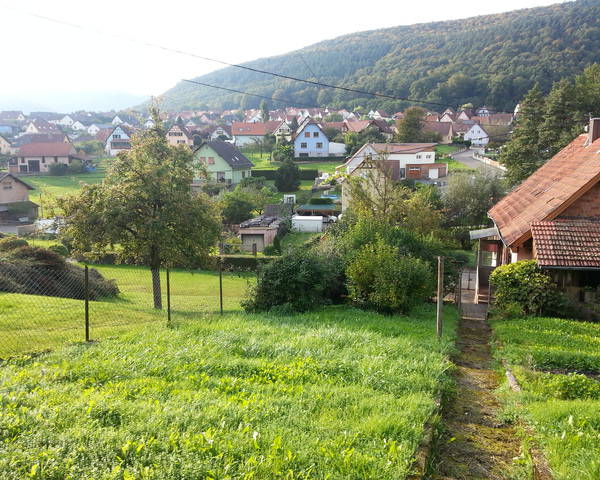 Maison 5 pièces de 109 m² comprenant 38 ares de terrain à Niederbronn - 20140930 173658