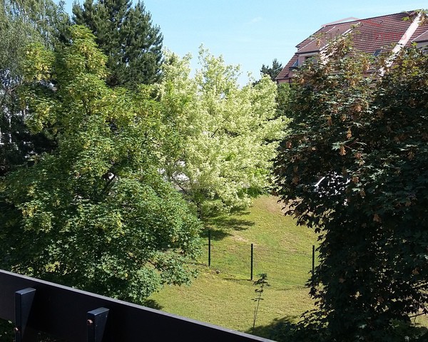 Studio de 32.5 m2 à Haguenau avec balcon. - 004