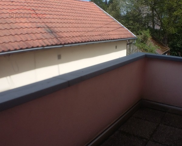 Deux appartements à Wingen-Sur-Moder. - 039