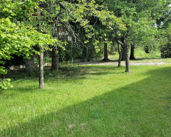 Beau terrain à Aspach-le-Bas - Terrain