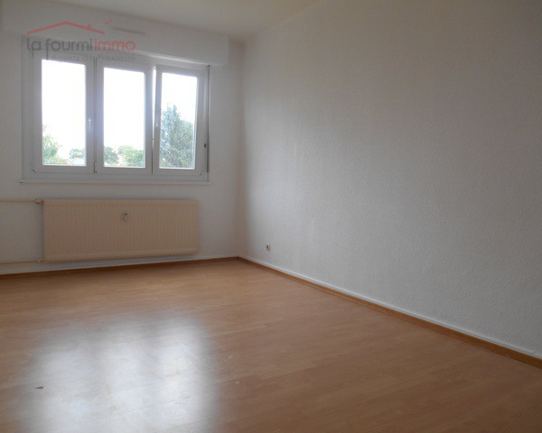 Wolfisheim (67202) : F2 + garage  - Dscn4063