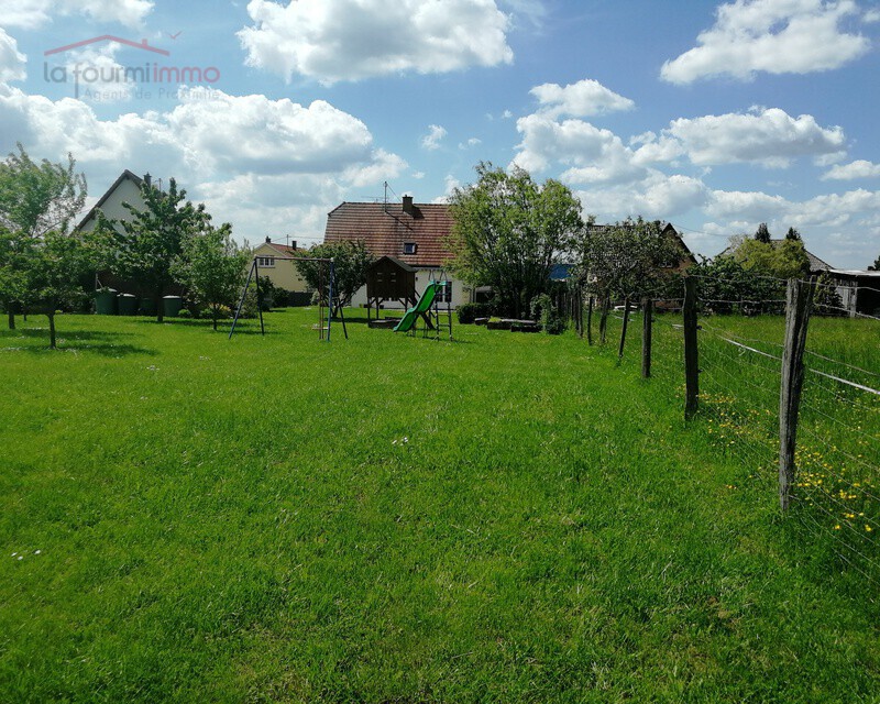 Magnifique maison à Menchhoffen.  - Img 20190522 151002