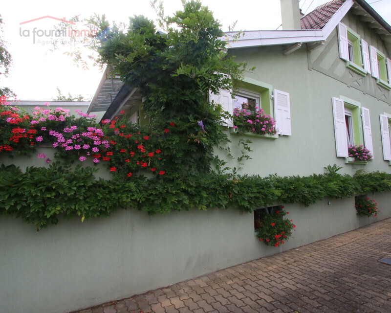 Maison jumelée avec piscine 68270 Wittenheim - maison a wittenheim fleuri