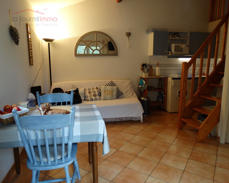 Maison 3 pièces avec terrasse et jardinet plein sud - Dsc01807
