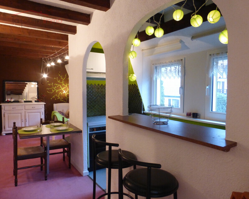 Studio cosy de 28m² proche des pistes de ski - P1060475