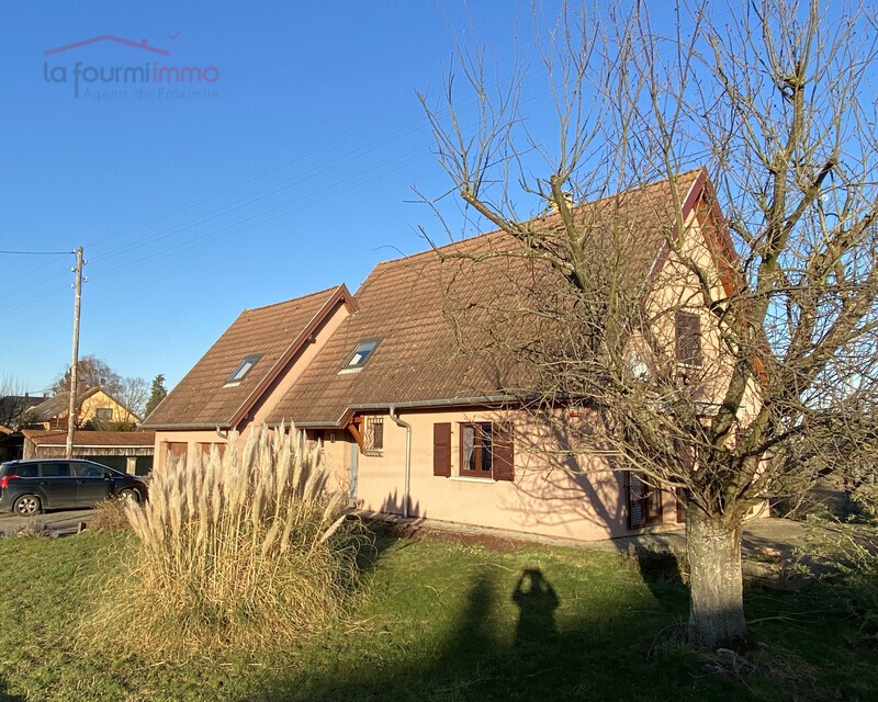 Maison à Munchhouse 68740 - #maison #munchhouse #remybenoitmeyer #immobilier #lafourmiimmo #habitat #ensisheim