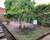 Charmant T4 Strasbourg Ouest - Photos jardin capucins 2