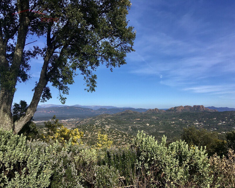 Maison de vacances à rénover - Vue sur le rocher - Ea22d7c8-8539-430d-96d8-9e4511e7e724