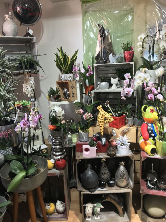 Vente d'un fonds de commerce, magasin de fleurs à Morhange - Img 3847 1 