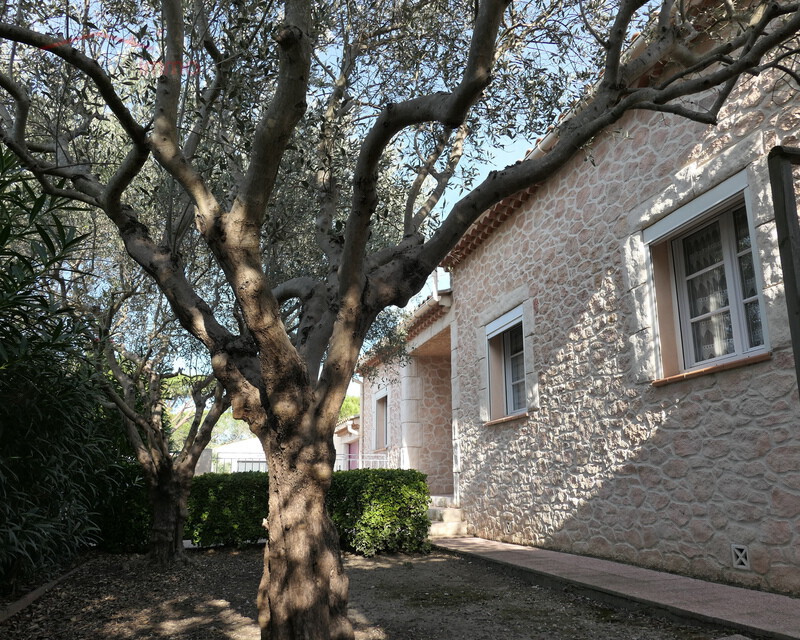 Villa de plain-pied à Port Saint Louis du Rhône.  - Jardin devant