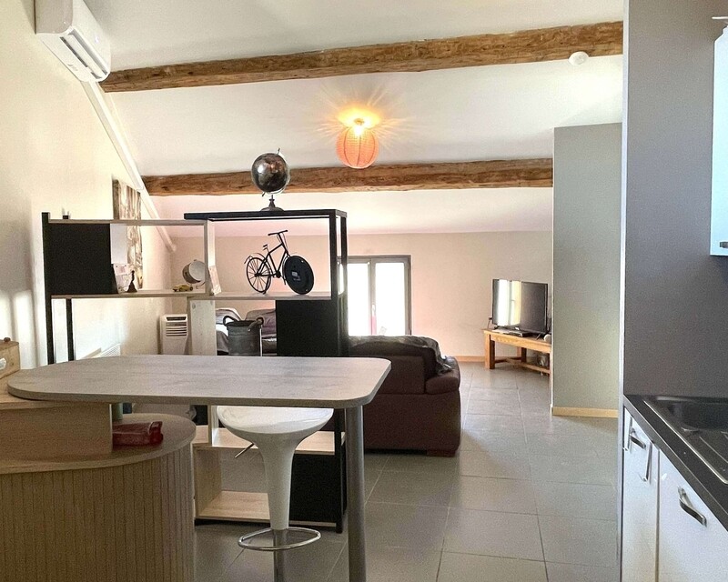 Appartement T2 , 46 m2 - Cuisine 2