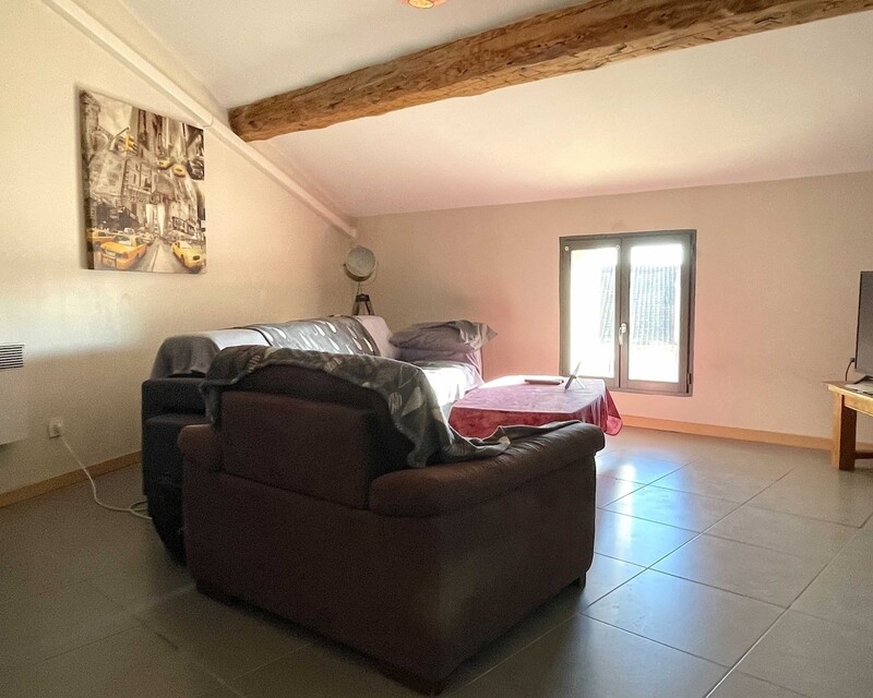 Appartement T2 , 46 m2 - Salon 2