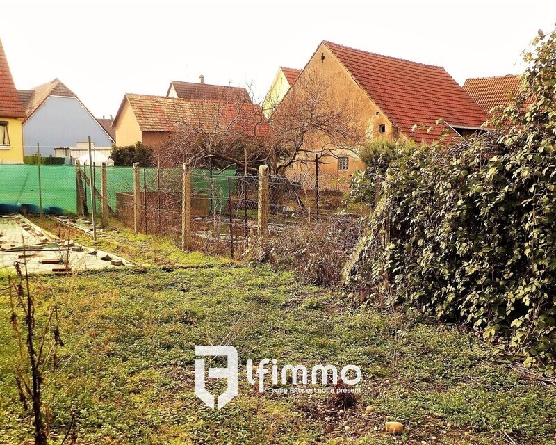 En exclusivité à Rohrwiller -  Maison 5/6 pièces de 130m²  environ - P1010259 1