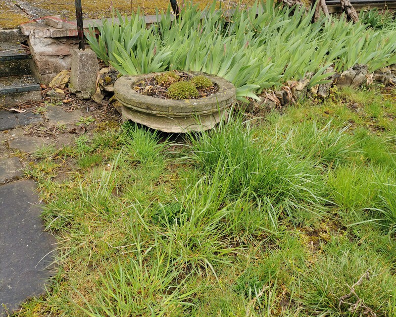 Charmante maison avec Jardin - Img 20210419 173611