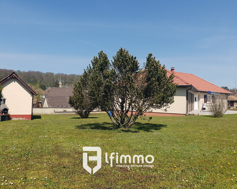 La fourmi immo Durmenach . Plain-pied de 130m2 a Steinsoultz  . - 20210427 132032