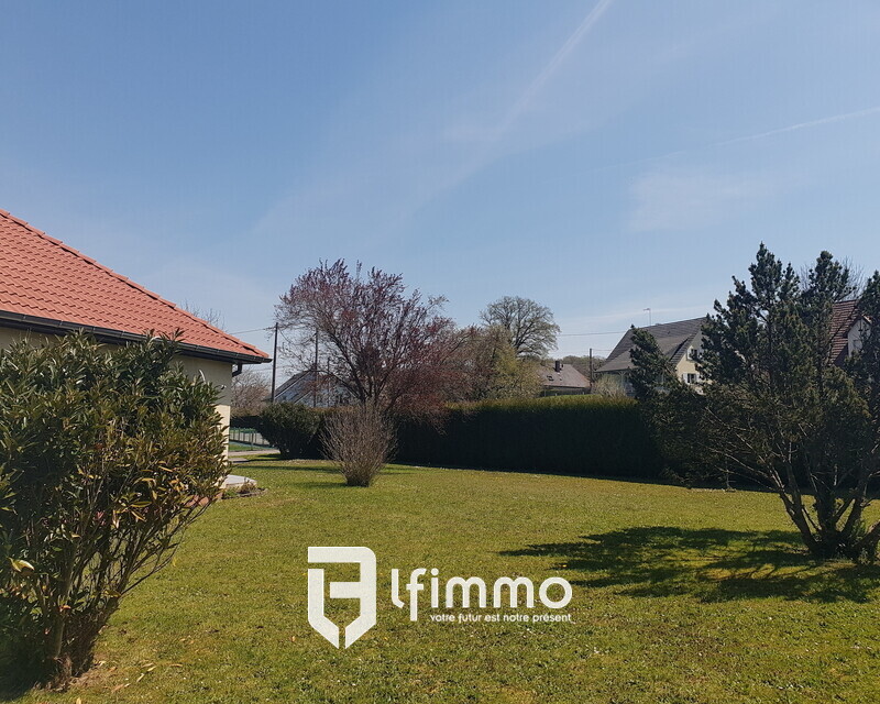 La fourmi immo Durmenach . Plain-pied de 130m2 a Steinsoultz  . - 20210427 132056