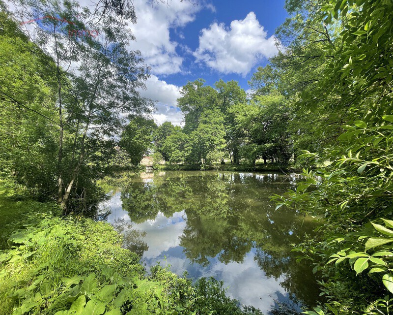 Propriété sur 9 hectares - étang