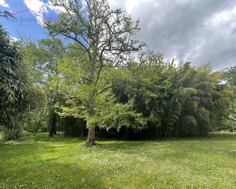 Propriété sur 9 hectares - parc