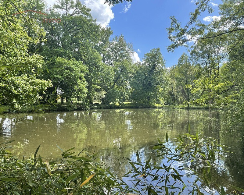 Propriété sur 9 hectares - étang