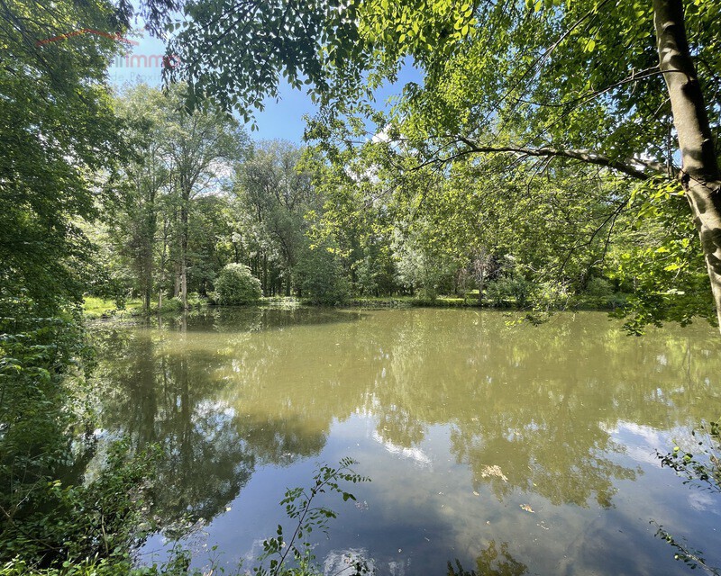 Propriété sur 9 hectares - étang