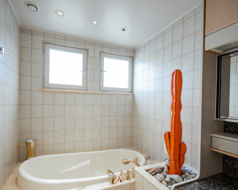 Maison bi-famille à vendre - Haas salle de bain