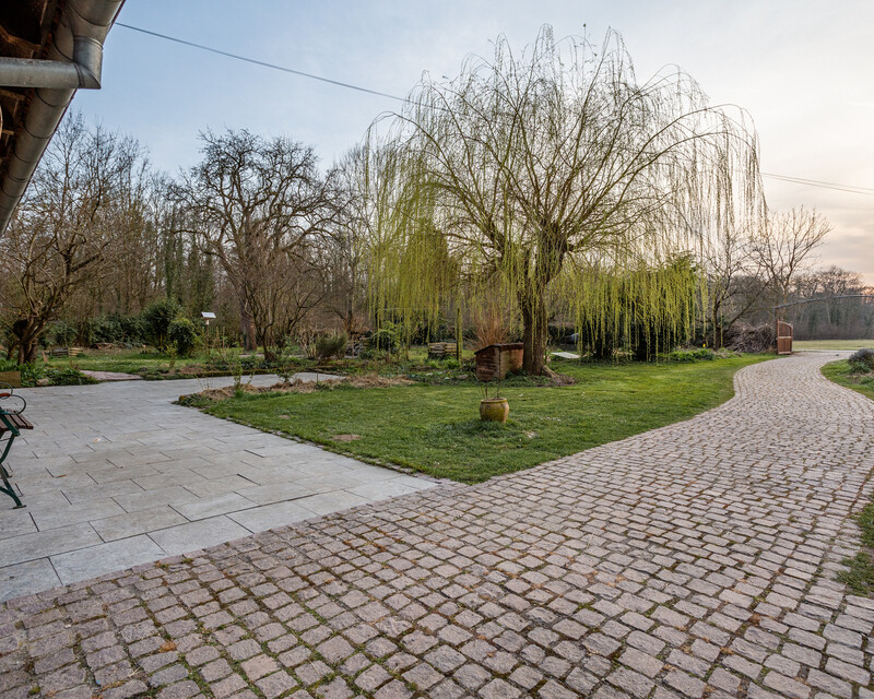 A l'abri des regards : 3 320m²/189 m² habitables  - Fm la wantzenau - saule terrasse et allée 1 20220325