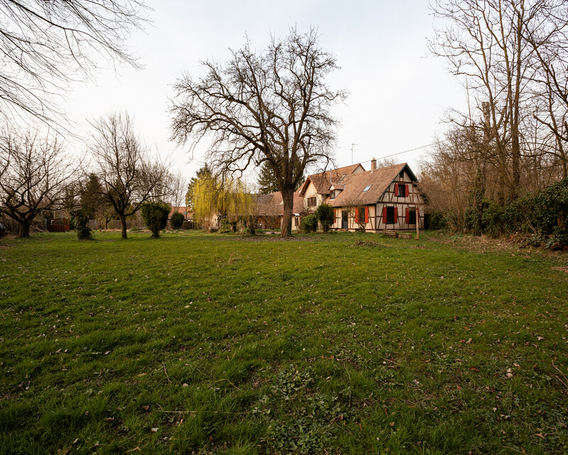 A l'abri des regards : 3 320m²/189 m² habitables  - Fm la wantzenau - vue maison depuis fond de parcelle 1 20220325