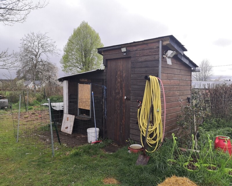 Il est déjà trop tard pour cette maison ! - Poulailler