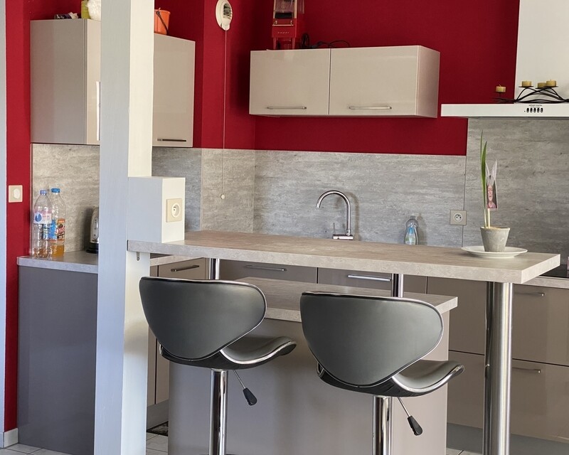 Appartement 3 pièces + garage, 68190 Ensisheim Haut-Rhin - Appartement ensisheim lafourmiimmo #rbmimmo