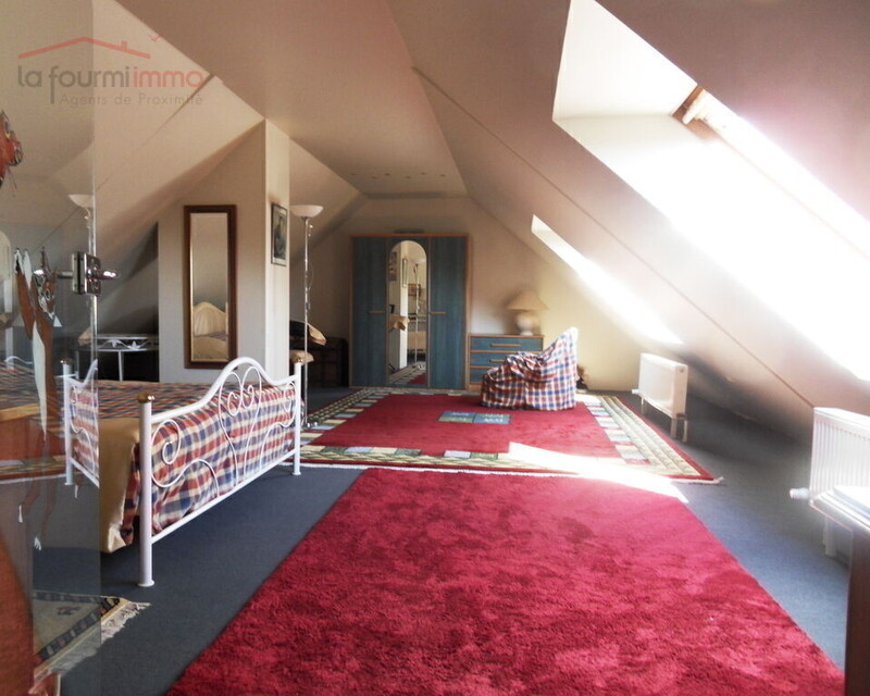 Maison Ringendorf 167m² sur 10 Ares - Sdc14697