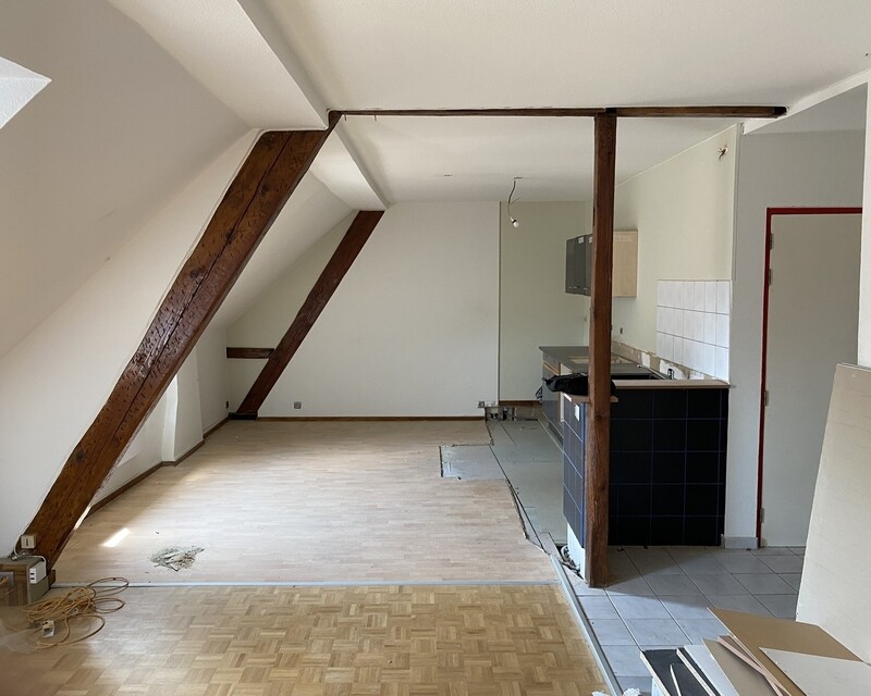 Appartement T2 48m2 68100 Mulhouse - Img 0540