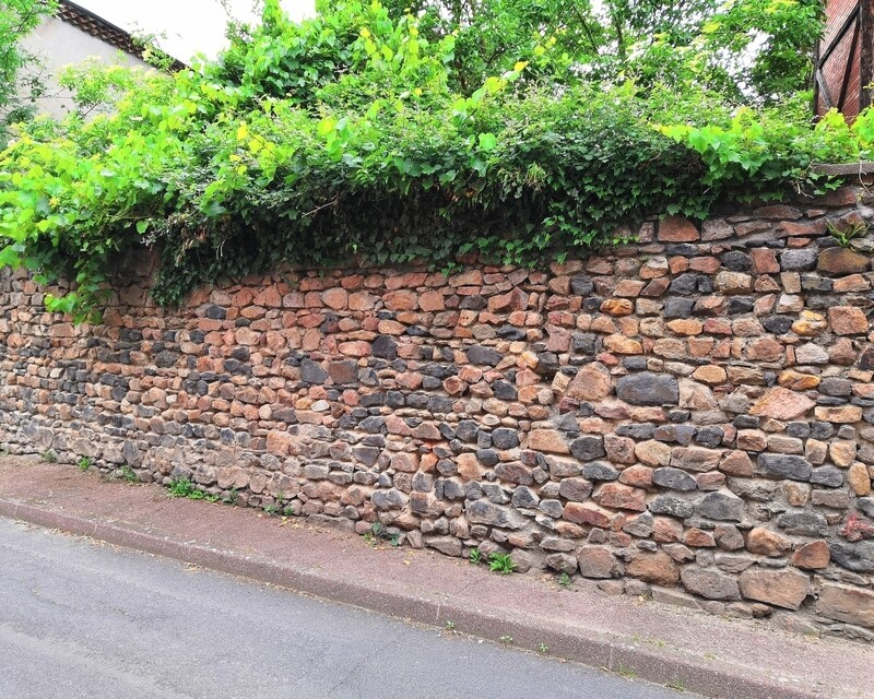 Maison de Maître avec bâtiments d'exploitation agricole - Img 20220609 155621