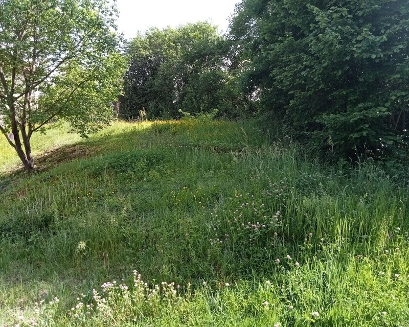 Immeuble Provenchères-et-Colroy  - 281271041 700236761300340 3226755342973965497 n