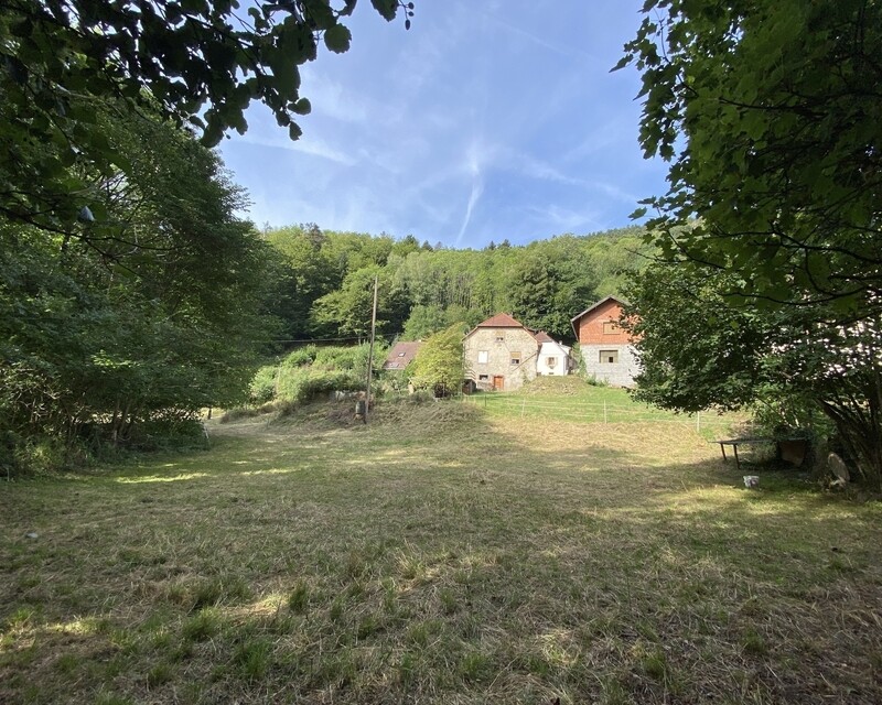 Maison de 120m² sur 23 ares avec dépendance - D00b017e-a0bf-4348-98fa-d5f91881820e
