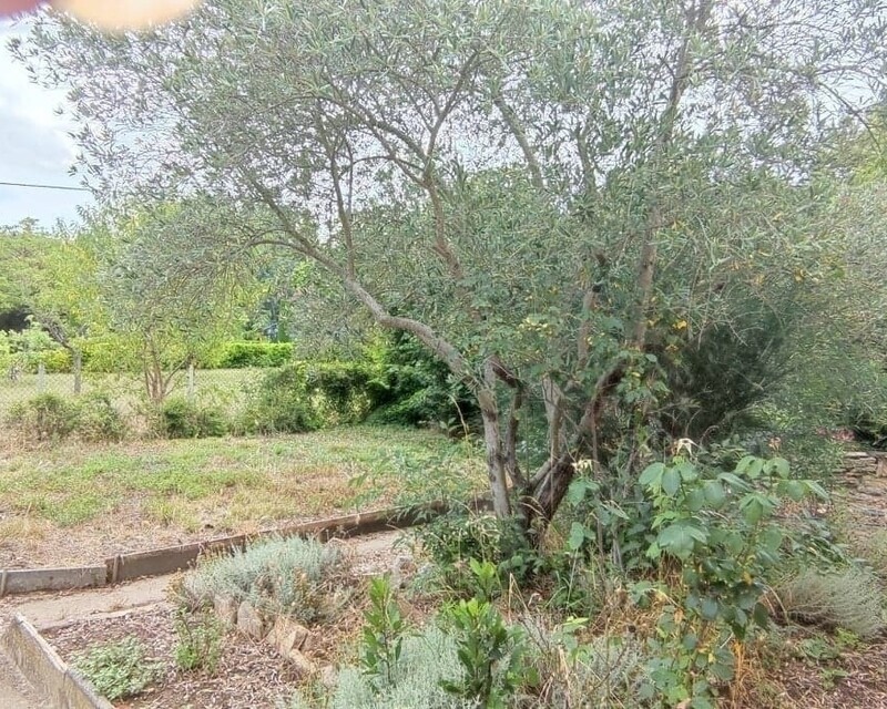 maison avec jardin & garage  - 292380503 395018122605343 1028956277538302125 n