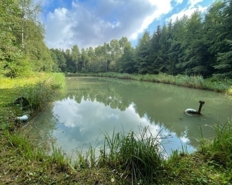 Vente plan d'eau 54480 Cirey Sur Vezouze - 111111