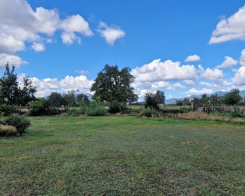 Belle situation pour ce terrain à bâtir de 551 m² - 03