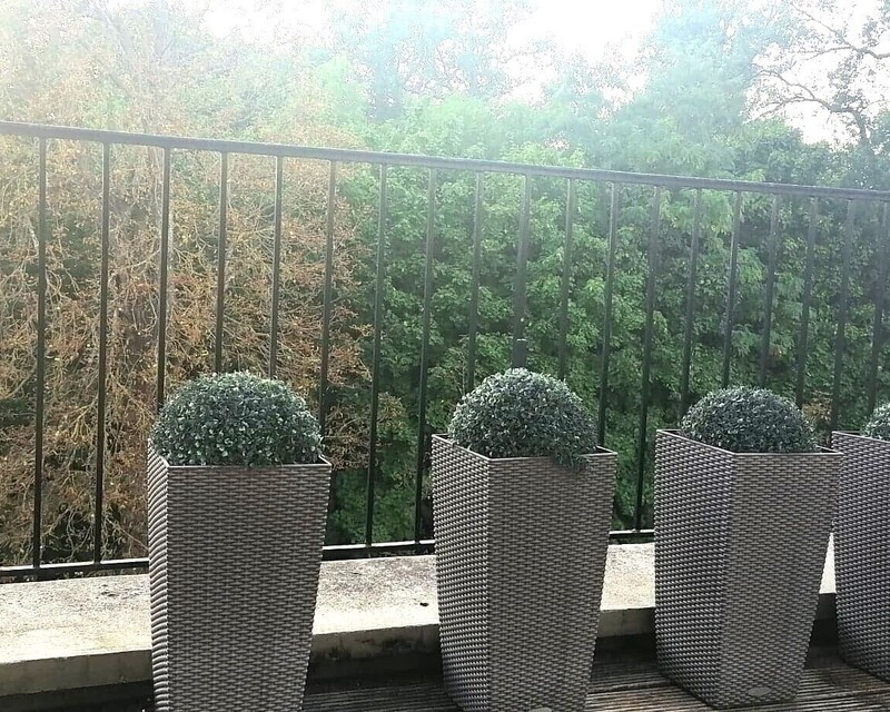 3 pièces Dernier étage Terrasse sur bois - 300358205 863739248343498 5582073408401043741 n