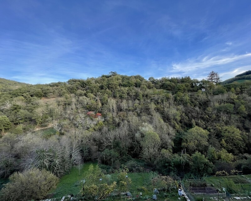 Maison à rénover avec 3 caves, 1 place de parking vue montagne - 2daa5034-0367-4062-bc56-a2f50d775743