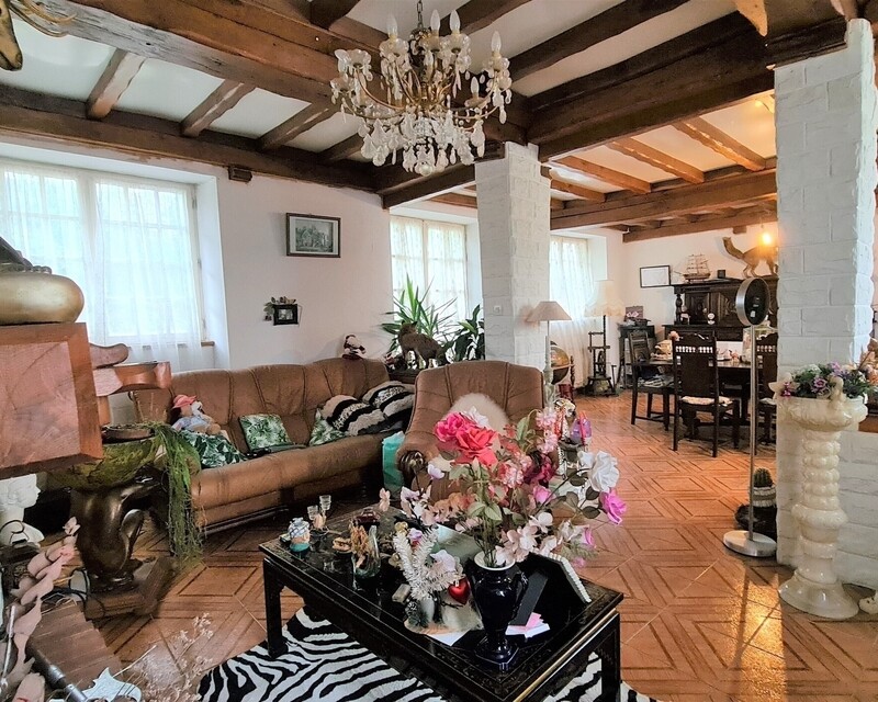 Maison Familiale - Investisseur en chambres d'hôtes  - Salon 5