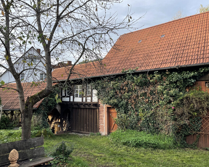 Maison ancienne avec grange à Obersteinbach (67510) - Dépendances 0
