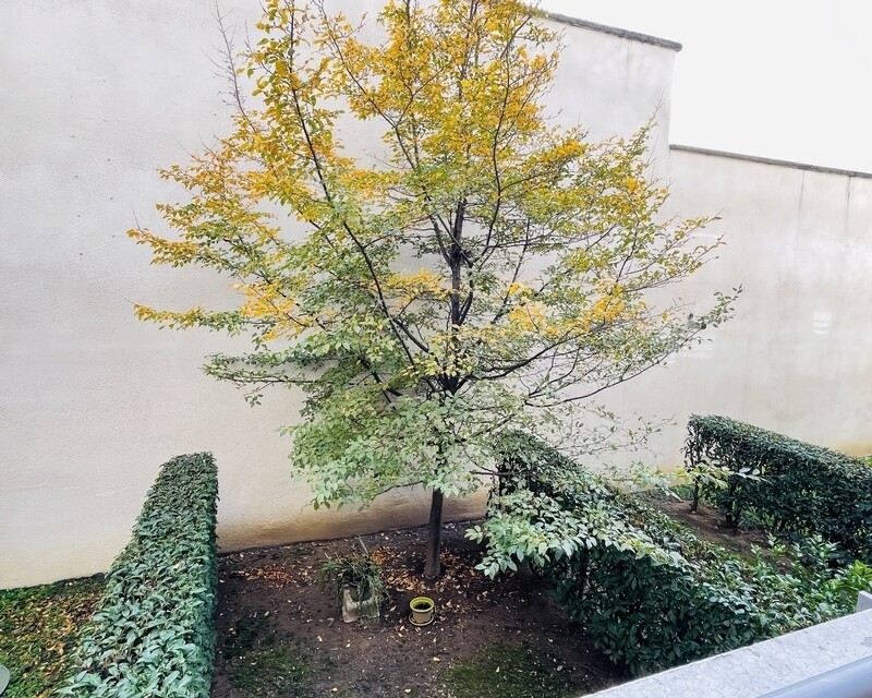 Vénissieux T3 de 63.29m² + parking s.sol + balcon 7.65 m² - Img 3101