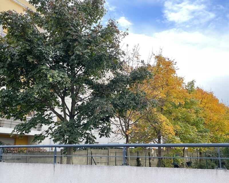 Vénissieux T3 de 63.29m² + parking s.sol + balcon 7.65 m² - Img 3094