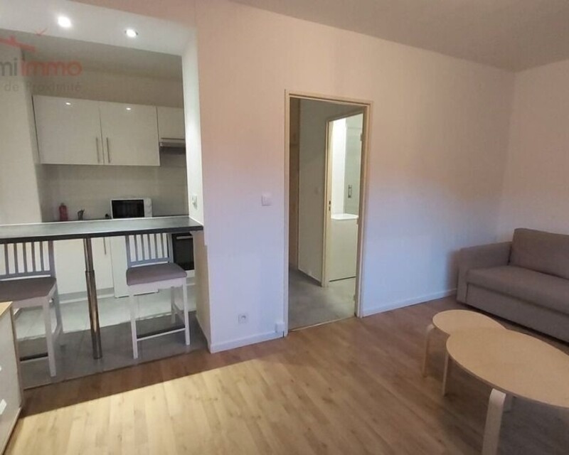 Bel appartement F1 sur les hauteurs de Pfastatt 68120 - Salon 2