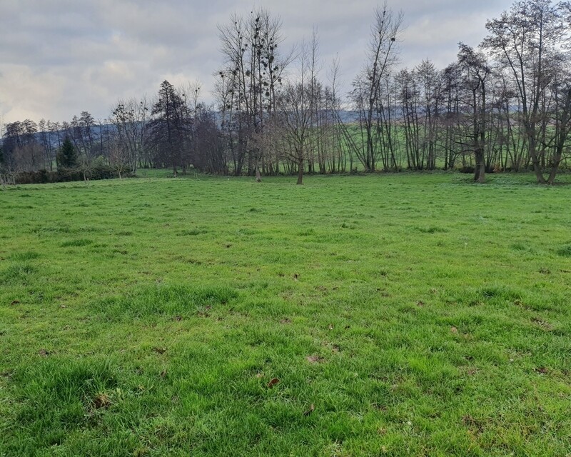 Terrain à bâtir de 15.97 ares à Bischholtz.  - 20221208 140751