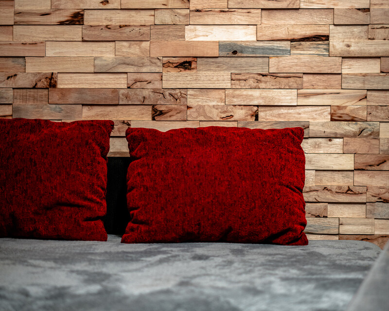 Maison 5 pièces 102m2 à Ruelisheim - Mur en bois salon ruelisheim - 30