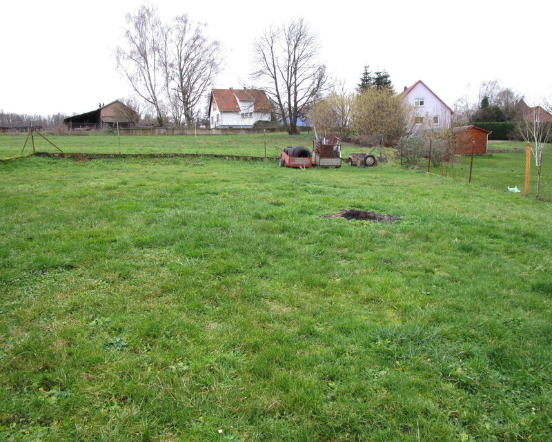 Maison 5 pièces - 7,8 ares - (67350) Secteur Val de Moder - Img 2404