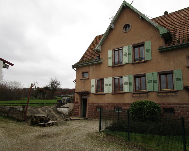 Maison 5 pièces - 7,8 ares - (67350) Secteur Val de Moder - Img 2415