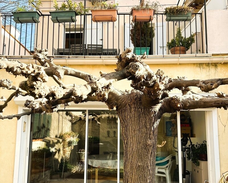 En cours de Compromis / Maison 5 pièces / Jardin / La Roquebrussane  - Jan23 s