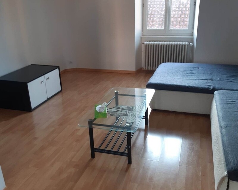 Charmant appartement 4 pièces quartier calme - Salon1